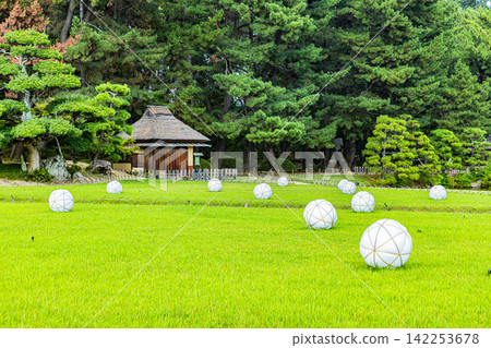 Okayama Prefecture: Scenery of Okayama Korakuen Garden Okayama Prefecture: Scenery of Okayama Korakuen Garden 142253678