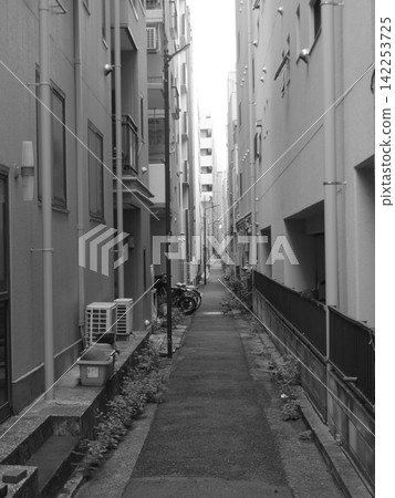Alley of the alley Alley of the alley 142253725