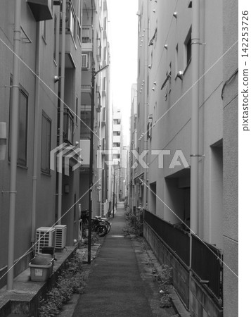 Alley of the alley Alley of the alley 142253726