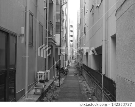 Alley of the alley Alley of the alley 142253727
