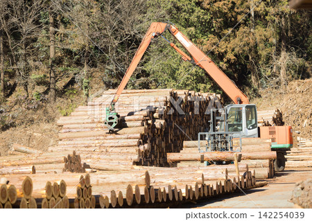 Forestry lumber market log market Forestry lumber market log market 142254039