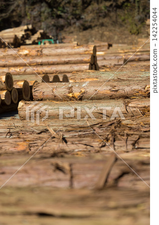 Forestry lumber market log market Forestry lumber market log market 142254044