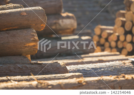 Forestry lumber market log market Forestry lumber market log market 142254046