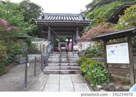 安養院寺門(神奈川縣鎌倉市) 安養院寺門(神奈川縣鎌倉市) 142254078
