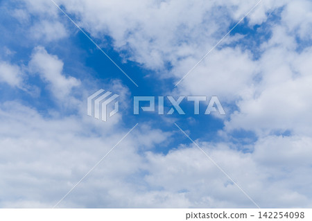 八月的上野，碧空如洗，白雲朵朵。 142254098