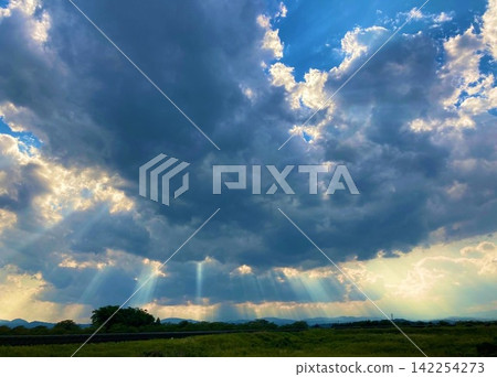 沐浴在光芒中的雲朵 沐浴在光芒中的雲朵 142254273
