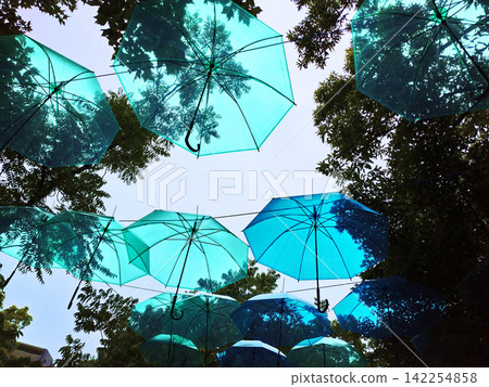 閃亮的雨傘藝術 閃亮的雨傘藝術 142254858