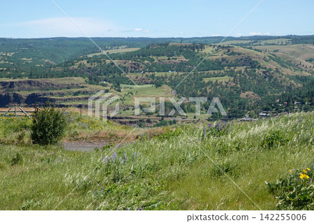 Expansive Landscape View with Lush Green Valleys, Rolling Hills, and Clear Blue Sky on a Sunny Day, Columbia river Gorge, Oregon Expansive Landscape View with Lush Green Valleys, Rolling Hills, and Clear Blue Sky on a Sunny Day, Columbia river Gorge, Oregon 142255006