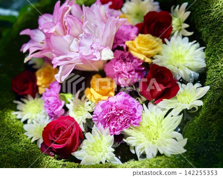 五月,水池中擺放著色彩繽紛的花卉(重瓣百合、菊花、康乃馨和玫瑰)<菅尾神社/愛知縣岡崎市> 五月,水池中擺放著色彩繽紛的花卉(重瓣百合、菊花、康乃馨和玫瑰)<菅尾神社/愛知縣岡崎市> 142255353