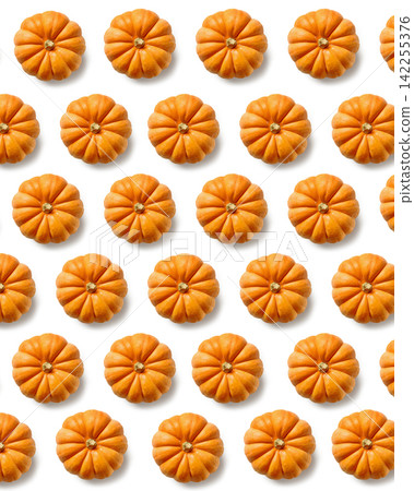 pumpkin pattern isolated on white background pumpkin pattern isolated on white background 142255376