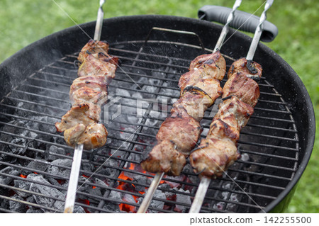 Marinated Meat Skewers Grilling on Charcoal Barbecue in Garden Marinated Meat Skewers Grilling on Charcoal Barbecue in Garden 142255500