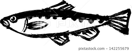 Japanese-style ink painting/sumi-e illustration of a sardine Japanese-style ink painting/sumi-e illustration of a sardine 142255679