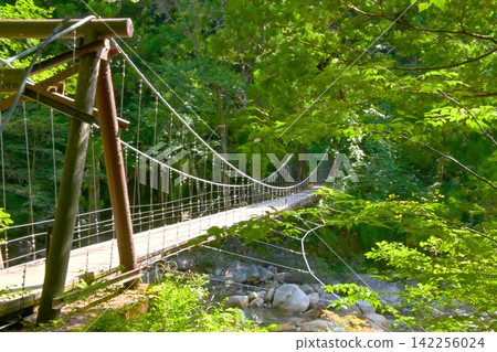 The suspension bridge of love spanning the Kakisore Valley The suspension bridge of love spanning the Kakisore Valley 142256024