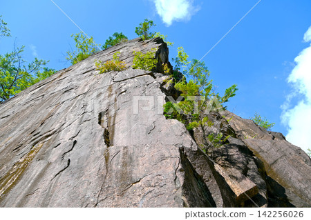 Kakisore Valley: A massive cliff viewed from a forest road in the mountains. Kakisore Valley: A massive cliff viewed from a forest road in the mountains. 142256026