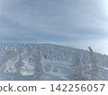Rime on trees, hoarfrost, Zao 142256057