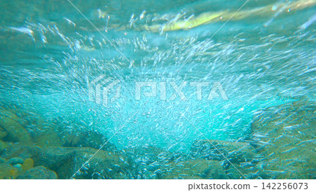 Beautiful underwater scenery of Kakisore Valley Beautiful underwater scenery of Kakisore Valley 142256073