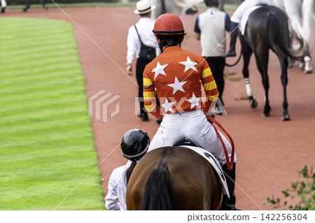Scenery of the horse racing track, paddock, Niigata City, Niigata Prefecture Scenery of the horse racing track, paddock, Niigata City, Niigata Prefecture 142256304