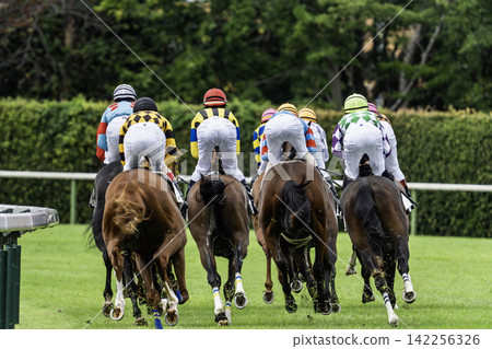 A scene from a horse racing track: a horse turning a corner in Niigata City, Niigata Prefecture. A scene from a horse racing track: a horse turning a corner in Niigata City, Niigata Prefecture. 142256326