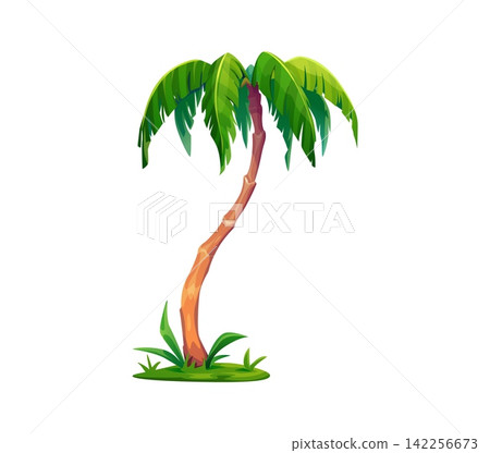 Cartoon tropical jungle palm tree with tall curve trunk, green leaves and grass. Isolated summer exotic nature element, island beach plant. Rainforest vegetation, symbol of holiday travel or vacation Cartoon tropical jungle palm tree with tall curve trunk, green leaves and grass. Isolated summer exotic nature element, island beach plant. Rainforest vegetation, symbol of holiday travel or vacation 142256673