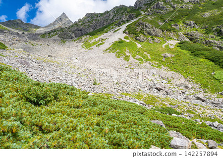 【山景】初秋時節從矢澤冰鬥眺望的矢嶽山【長野縣】 【山景】初秋時節從矢澤冰鬥眺望的矢嶽山【長野縣】 142257894
