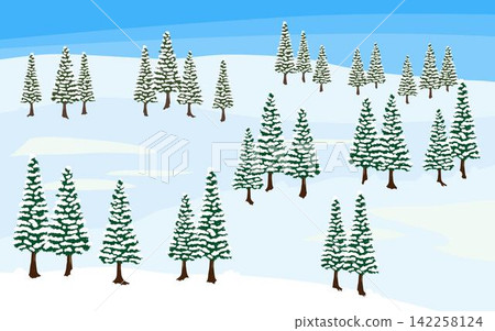白雪皚皚的針葉林的白天景象。 142258124