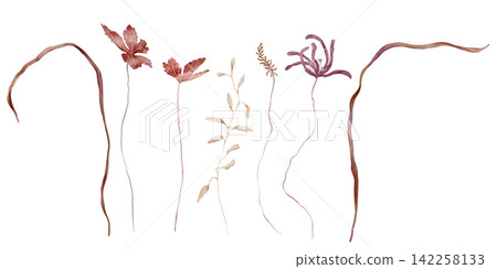 Hand-painted watercolor botanical set of isolated dried stems with rust red leaves, beige oval foliage, wispy fern buds, and a purple wildflower on white background. Minimalist floral collection. Hand-painted watercolor botanical set of isolated dried stems with rust red leaves, beige oval foliage, wispy fern buds, and a purple wildflower on white background. Minimalist floral collection. 142258133