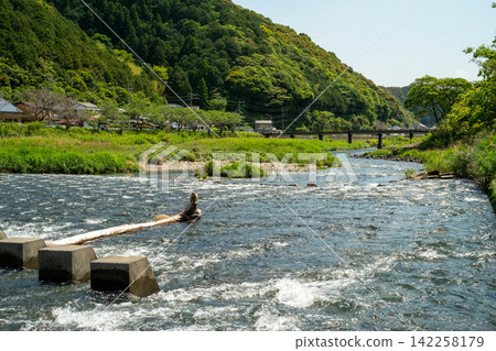 須崎市新莊河 須崎市新莊河 142258179