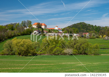 Panoramic view of Kunstat Castle on a hill surrounded by green fields and blooming trees in spring, Czech Republic. Panoramic view of Kunstat Castle on a hill surrounded by green fields and blooming trees in spring, Czech Republic. 142259145