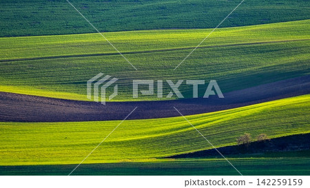 Beautiful spring landscape with field, hills and sunset. Czech Republic - South Moravia (Moravian Tuscany.) Concept for agriculture, travel, environment and nature.. Beautiful spring landscape with field, hills and sunset. Czech Republic - South Moravia (Moravian Tuscany.) Concept for agriculture, travel, environment and nature.. 142259159