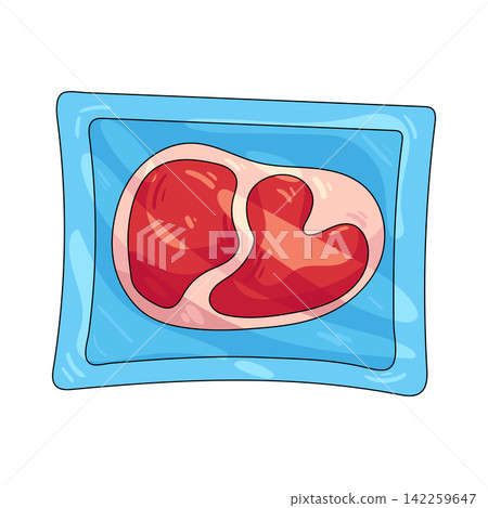 Illustration of vacuum sealed meat Illustration of vacuum sealed meat 142259647