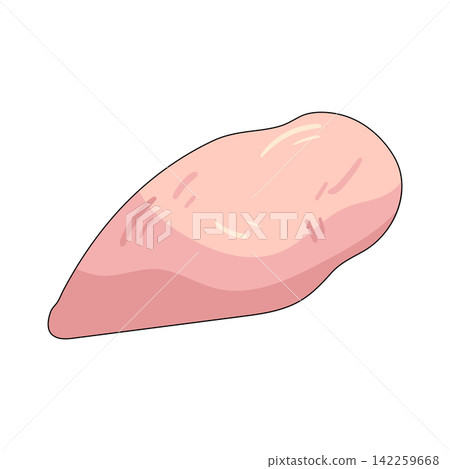 Illustration of raw chicken breast Illustration of raw chicken breast 142259668