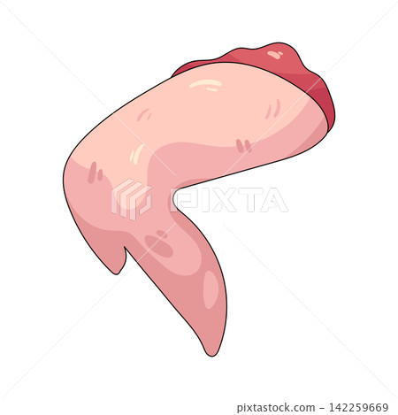 Illustration of raw chicken wing Illustration of raw chicken wing 142259669