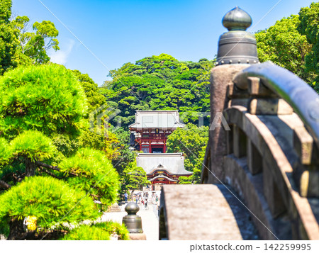 Summer in Kamakura: Tsurugaoka Hachimangu Shrine, the dance hall and main shrine seen across the Taikobashi Bridge. 142259995
