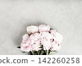 Bouquet of Light Pink Peonies on Gray Concrete Background 142260258