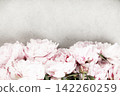 Soft Pink Peonies Border on Light Gray Background 142260259