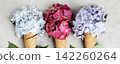 Trio of Hydrangea Ice Cream Cones on Light Background 142260264