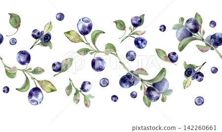 Bilberry and blueberry watercolor seamless border isolated. Fresh forest berry with green leaves horizontal pattern. Fruit repeat for wallpaper border, textile, wrapping paper, and packaging design. 142260661