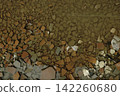 Abstract Texture of Broken Ceramic Tiles and Shards 142260680