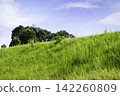 Under a blue sky, lush grasslands and trees spread across the rural landscape of Japan in summer. 142260809