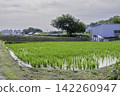 Countryside scenery in the suburbs 142260947