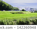 Countryside scenery in the suburbs 142260948