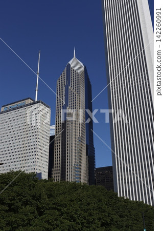 Skyscrapers in the downtown of Chicago, Illinois Skyscrapers in the downtown of Chicago, Illinois 142260991
