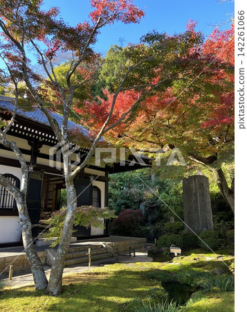 Temple gardens dyed in autumn colors Temple gardens dyed in autumn colors 142261066
