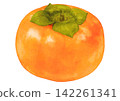 Autumn flavors. A realistic illustration of a single persimmon. 142261341