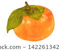 Autumn's delights. A realistic illustration of a single persimmon (with leaves). 142261342