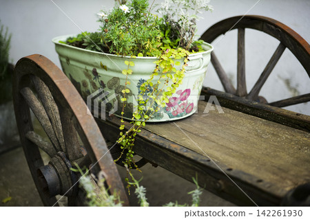 Metal planter with plants on a wooden cart in a rustic garden illustrates country charm with crafted details. Metal planter with plants on a wooden cart in a rustic garden illustrates country charm with crafted details. 142261930