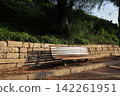 bench in the park 142261951