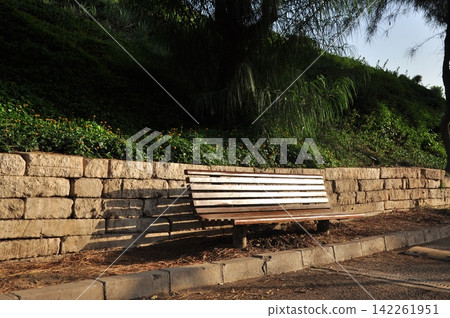 bench in the park bench in the park 142261951