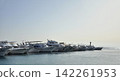 yacht sailing in the sea 142261953
