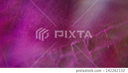 Neon shiny background. Color glow. Purple pink blue radiant flash optical film texture bright rainbow kaleidoscope on art light abstraction. Neon shiny background. Color glow. Purple pink blue radiant flash optical film texture bright rainbow kaleidoscope on art light abstraction. 142262132